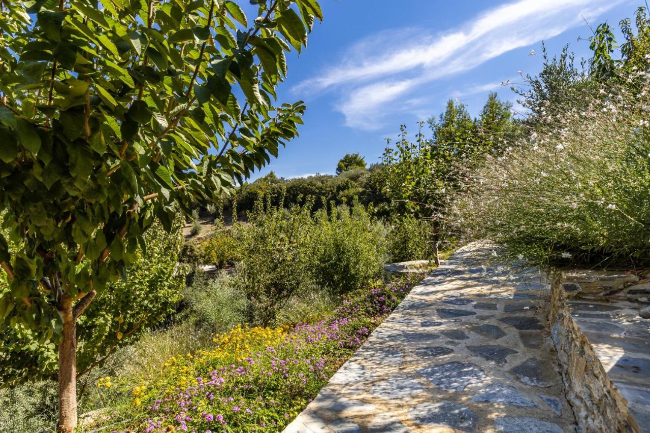 Villa Politimi Luxury Retreat Σκόπελος Εξωτερικό φωτογραφία